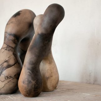 Chromosomy