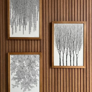 Leaves and trees