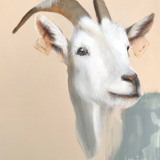 ONA 04