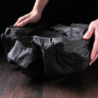 Raven Black Fossil A12V101