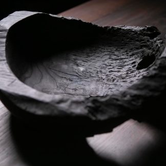 Raven Black Titanic Fossil A08R33