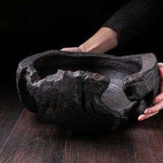 Raven Black Titanic Fossil A12V102