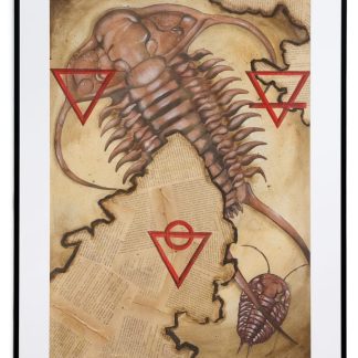 Trilobitae alchemici